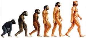 evrim-300x134 Evrim Teorisi ve İnsanın Hayali Atası
