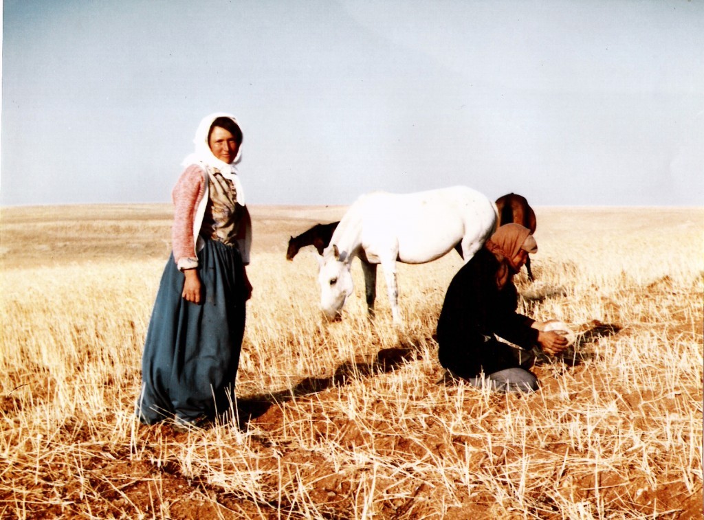 Harika Görüntü