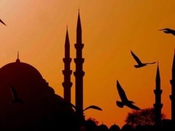 insanin-kendi-nizamini-bulmasi-360x270 İmgeler Bize Ne Söyler?