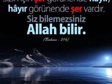 tumblr_n2tlmlzvco1qm1x85o1_1280-360x270 Francis Bacon'un Idola Öğretisi