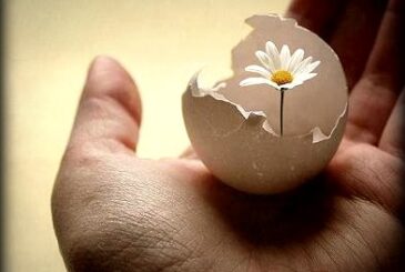 her-insan-kendi-hayatinin-mimaridir-365x245 Felsefe-Tarih ilişkisi