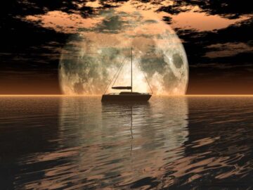 sunset101-360x270 "Fert yok, cemiyet var!”