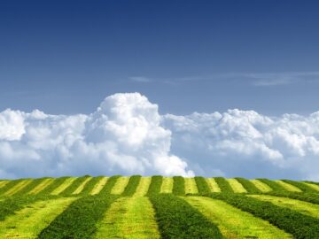 dunya-ahiretin-tarlasi-360x270 Sağırlar, Dilsizler, Körler Gibiydiler Üzerine