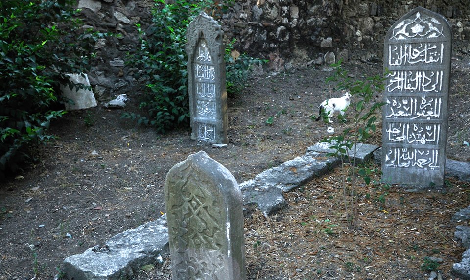 Harika Görüntü