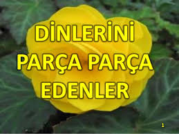 Dinlerini Parça Parça Edenler