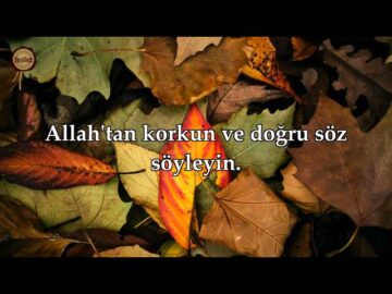 sddefault-360x270 Erdemlerin Sürekliliği Anlamında Nefis Sağ­lığının Korunması