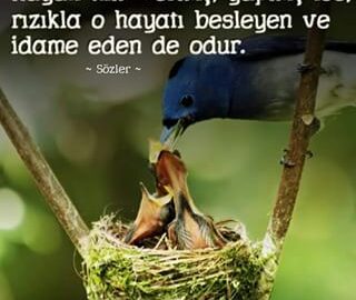 11381435_538254372982319_1829187512_n-320x270 İmam el-Gazzâlî, İbni Sina Eleştirisi Hakkında