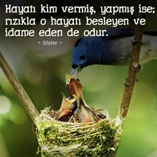 Hayatı rızıkla idame eden de O’dur