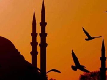 030720150432300131739-360x270 Orada Kimse Var Mı?