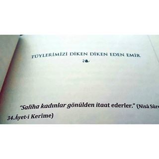 Harika Görüntü