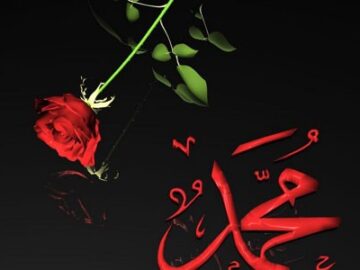 HZ.MUHAMMED-360x270 "Fert yok, cemiyet var!”