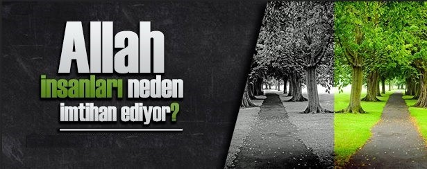 Harika Görüntü