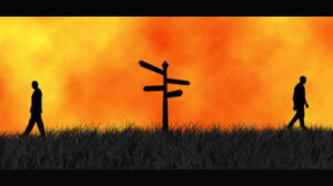 images-1-2-300x168 images (1)