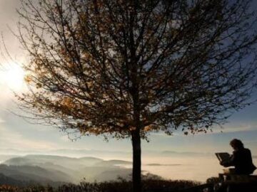 images-3-360x270 Düşmanların Zararlarından Kurtulma Hakkında