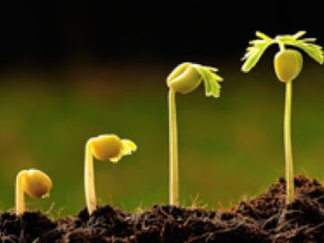 112201-360x270 Hegel ya da Marx’in Tarih Yorumları