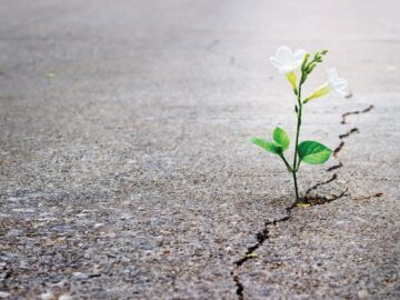 s675h04960ea5155c8f6f3c5e4d5001c81dbdd0c2cad8_-360x270 İmâm-ı Gazzâlî - El-Kıstasü'l-Müstakim'den Alıntılar