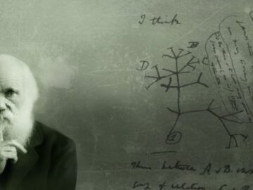 evolution-e1481606247814-360x270 Düşmanların Zararlarından Kurtulma Hakkında